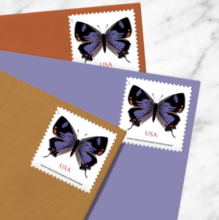 2019 Forever Stamps Colorado Hairstreak Stamps - Image 2