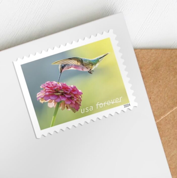 2024 Stamps Garden Delights Forever Stamps - Image 3