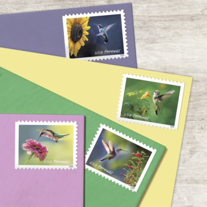 2024 Stamps Garden Delights Forever Stamps - Image 4