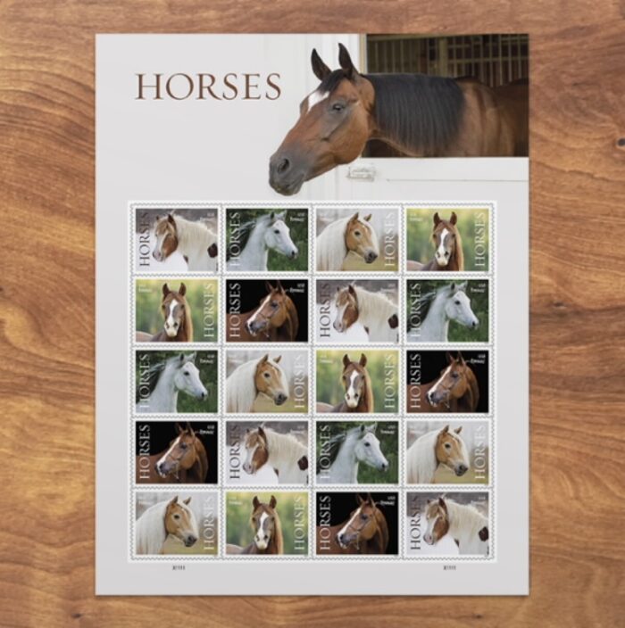 2024 Stamps Horses Forever Stamps - Image 4