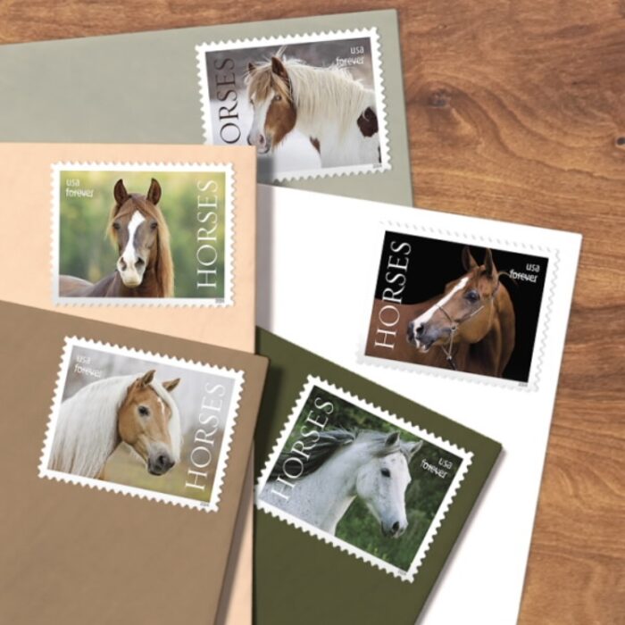 2024 Stamps Horses Forever Stamps - Image 3