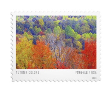 Autumn Colors Stamps