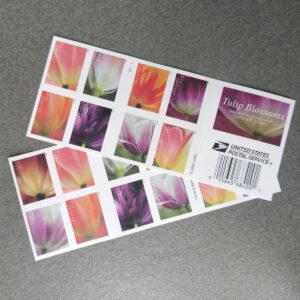 2023 Forever Stamps /Tulip Blossoms Stamps 