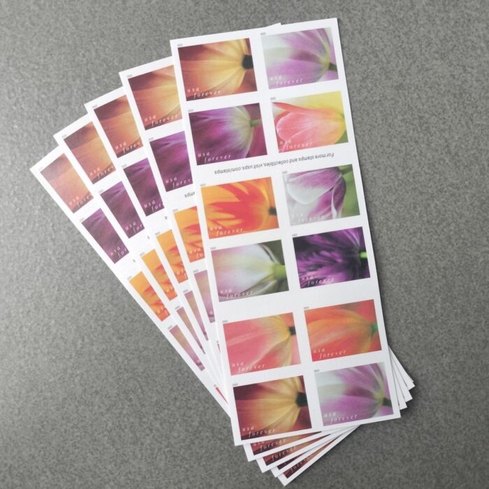 2023 Forever Stamps Tulip Blossoms Stamps - Image 6