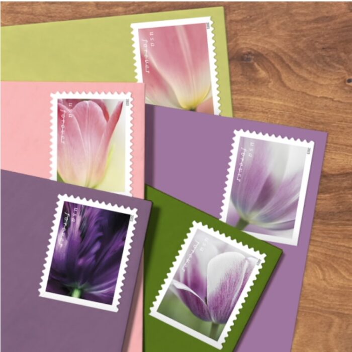 2023 Forever Stamps Tulip Blossoms Stamps - Image 2