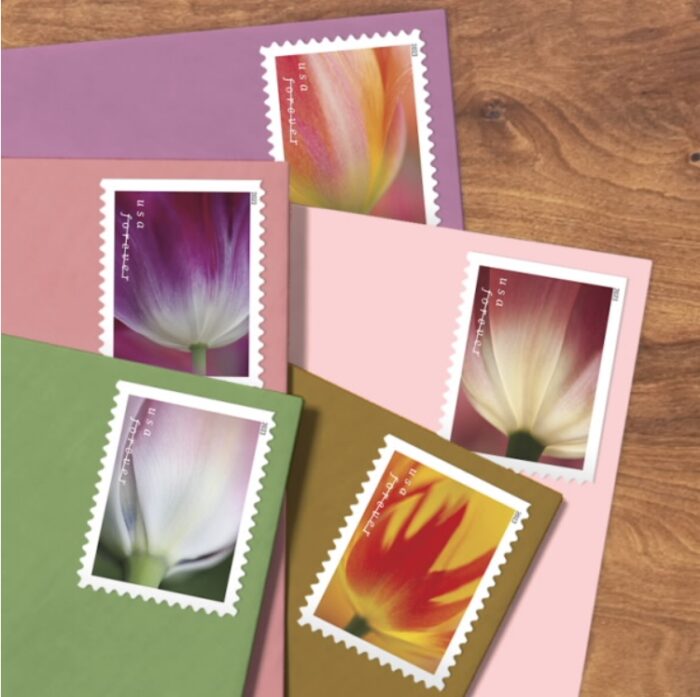 2023 Forever Stamps Tulip Blossoms Stamps - Image 3