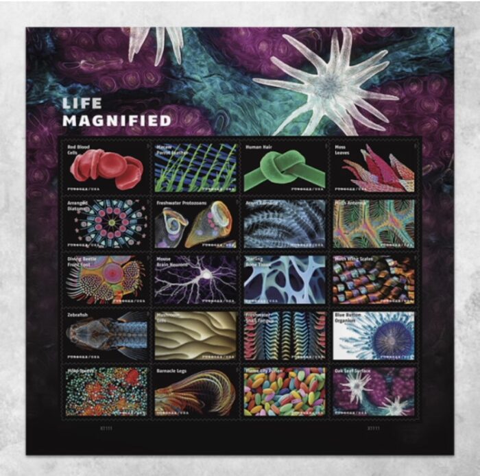 2023 Stamps Life Magnified Forever Stamps - Image 4