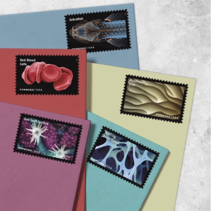 2023 Stamps Life Magnified Forever Stamps - Image 3