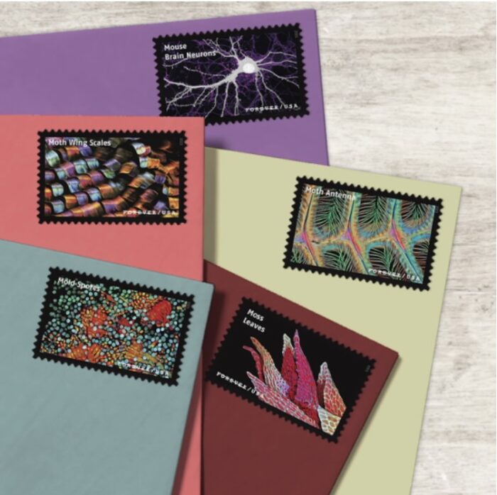 2023 Stamps Life Magnified Forever Stamps - Image 2