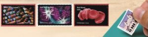 2023 Stamps ：Life Magnified Forever Stamps