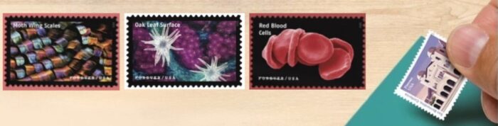 2023 Stamps ：Life Magnified Forever Stamps