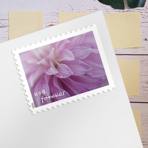 2025 Baby Wild Animals Forever Stamps - Image 3