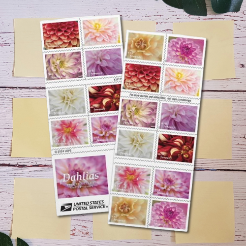 2025 Baby Wild Animals Forever Stamps - Image 4