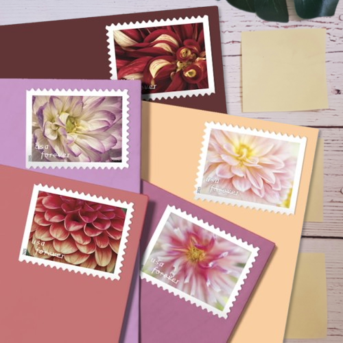 2025 Baby Wild Animals Forever Stamps - Image 5